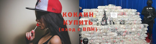 шишки Наволоки