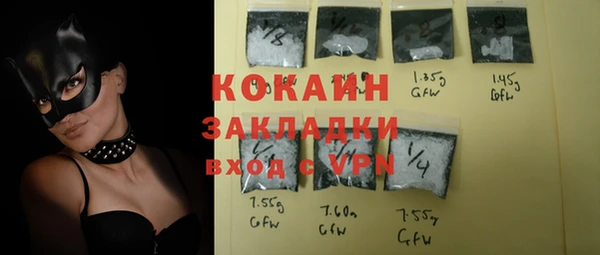 шишки Наволоки
