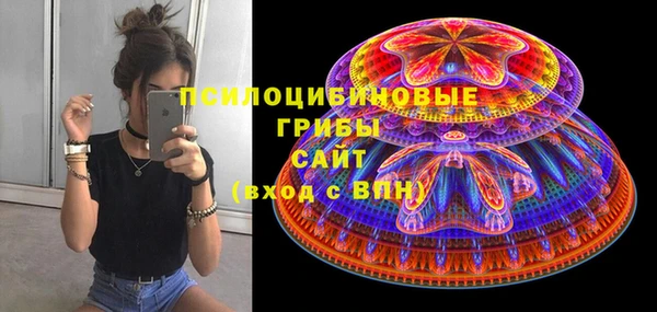 шишки Наволоки