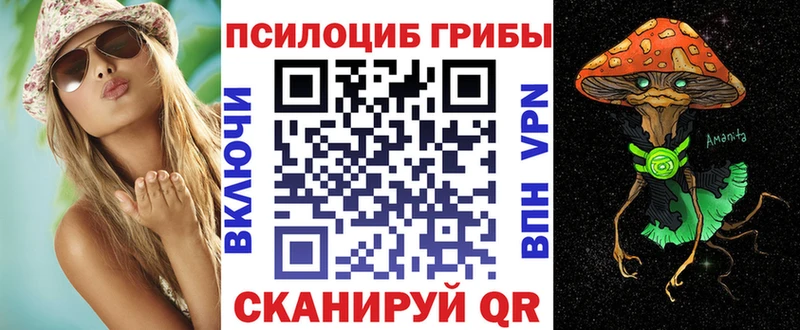 как найти площадка как зайти Галлюциногенные грибы GOLDEN TEACHER Ялуторовск