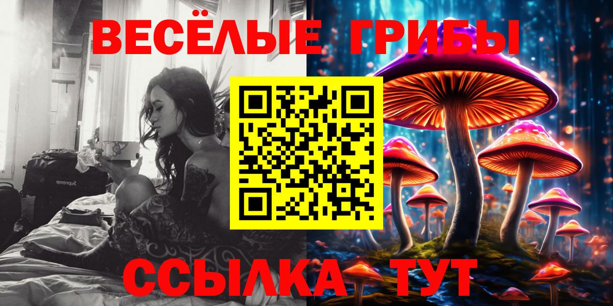 Ялуторовск  Псилоцибиновые грибы MAGIC MUSHROOMS  Псилоцибиновые грибы GOLDEN TEACHER  Вход с VPN 