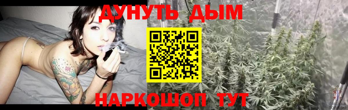 Конопля ГИДРОПОН  Канабис гибрид  Ялуторовск  Вход с VPN  МАРИХУАНА SATIVA & INDICA 